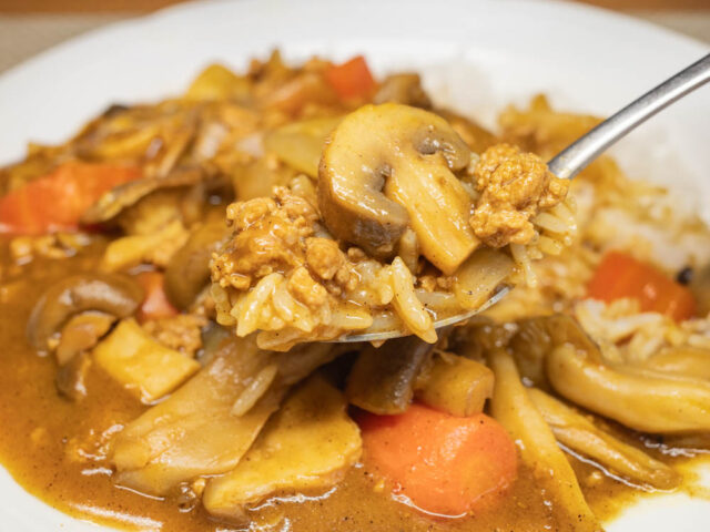 カレーをスプーンにのせた写真