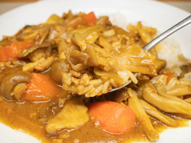 カレーをスプーンにのせた写真