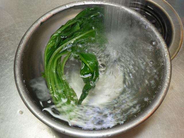 茹でたほうれん草を流水で冷やす写真