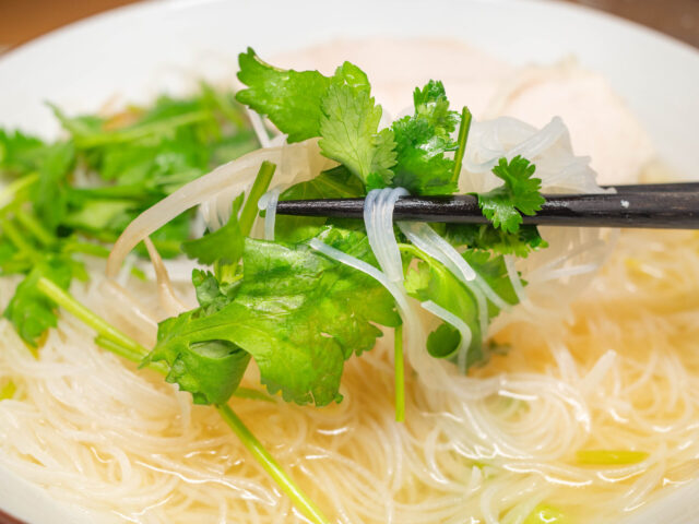 パクチーを箸で持ち上げた写真