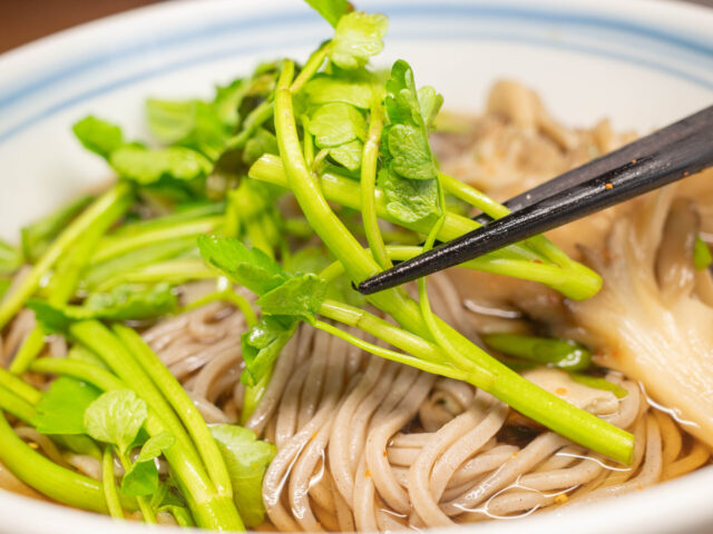 芹を箸で持ち上げた写真