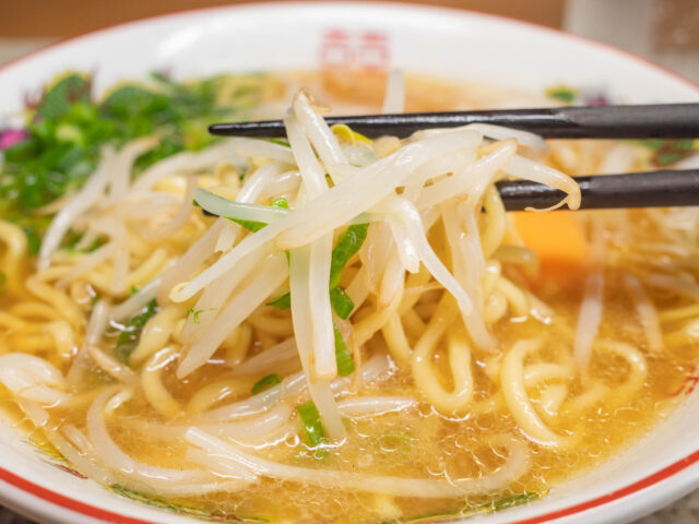 もやしとねぎを箸で持ち上げた写真