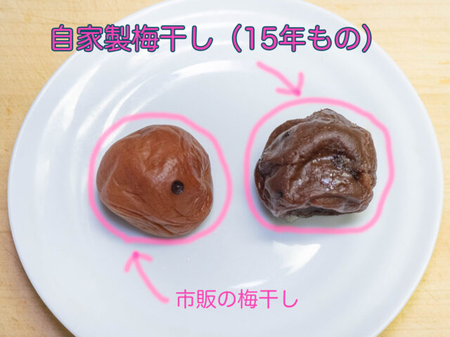 自家製梅干しと市販の梅干しの写真