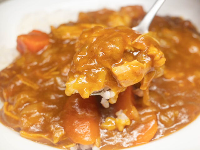 カレーライスをスプーンにのせた写真