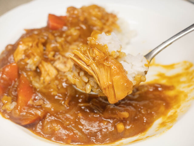 カレーライスをスプーンにのせた写真