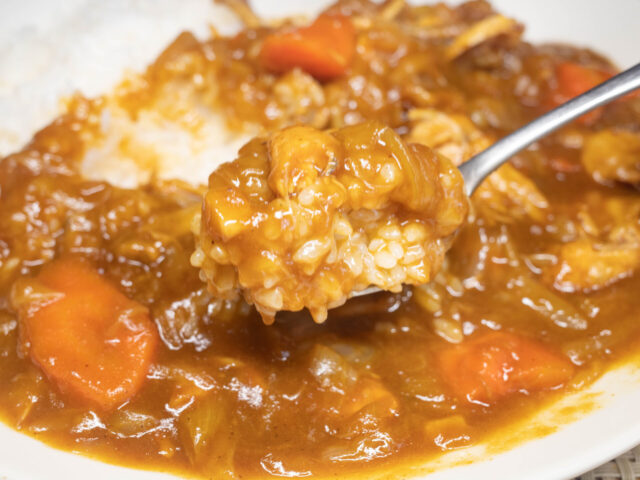 カレーをスプーンにのせた写真