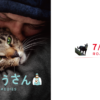 映画『猫と、とうさん』公式サイト